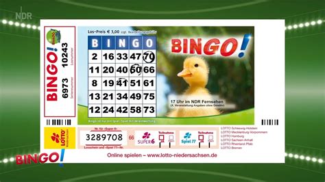 bingo niedersachsen preise